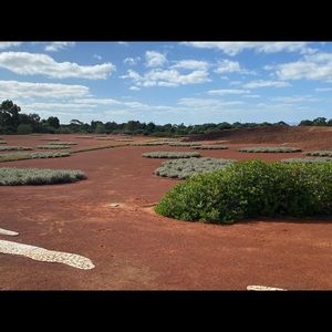 Meet your Posher, Sukhjinder